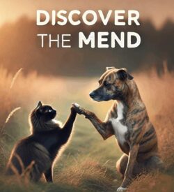 DiscovertheMend